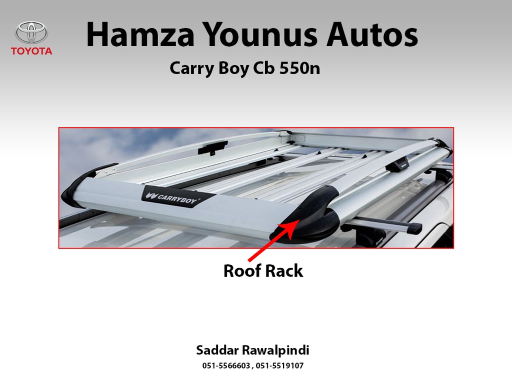 Carryboy best sale roof rack