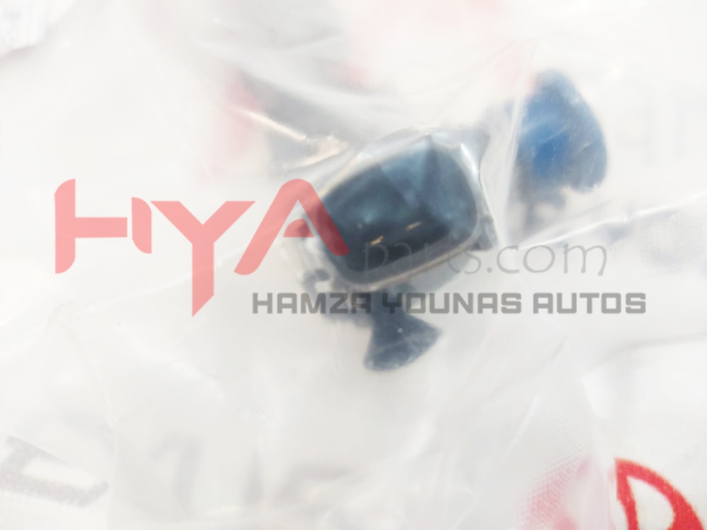 INJECTOR ASSY