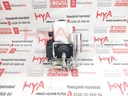 BRAKE BOOSTER ASSY, W/MASTER CYLINDER