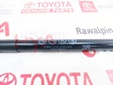 SUPPORT ASSY, HOOD, RH