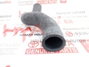 HOSE, RADIATOR, NO.2