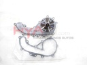 PUMP ASSY, ENGINE WATER (WATER BODY) 