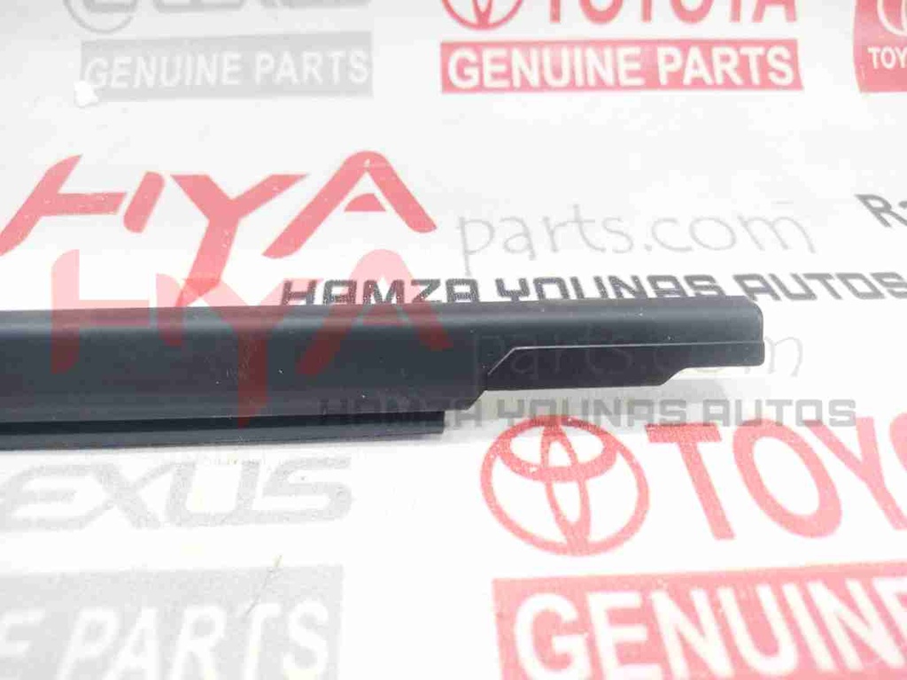 MOULDING ASSY, REAR DOOR BELT, LH