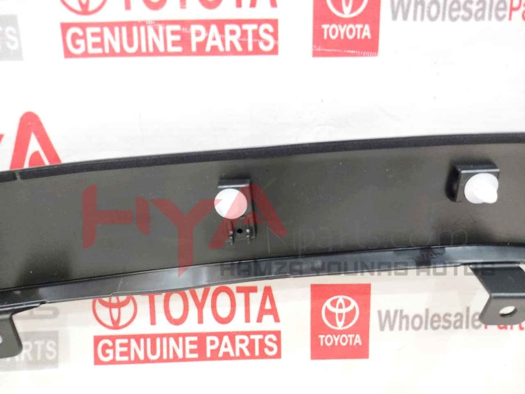 MOULDING SUB-ASSY, FRONT FENDER LH