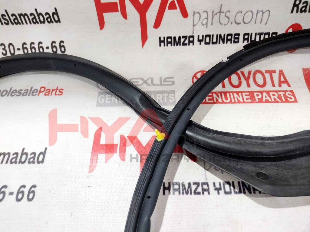 WEATHERSTRIP, FRONT DOOR, RH