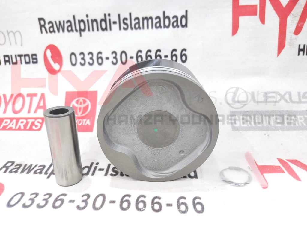 PISTON SUB-ASSY, W/PIN (SIZE : STD)