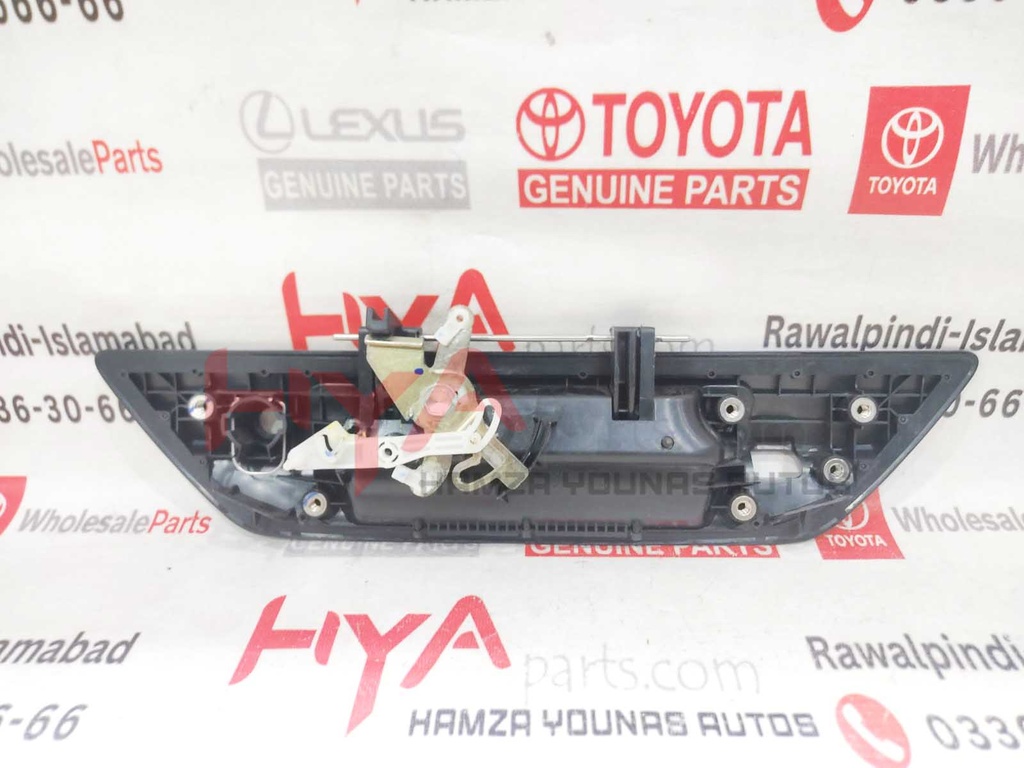 HANDLE ASSY, TAIL GATE