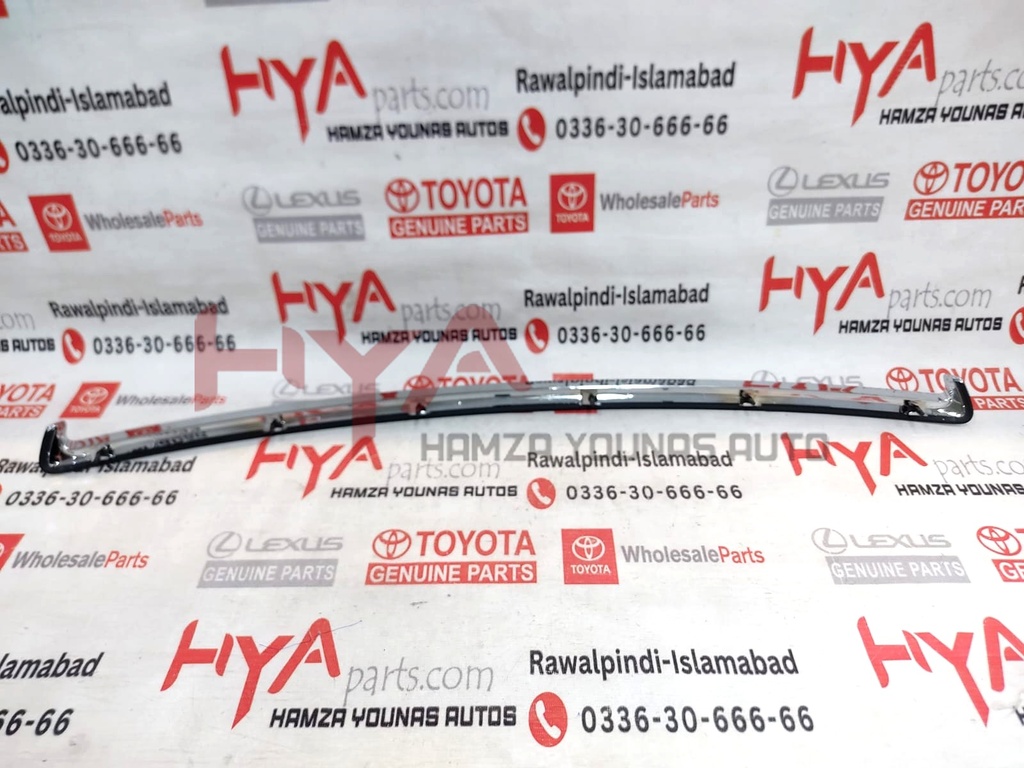 MOULDING ASSY, HOOD, FRONT