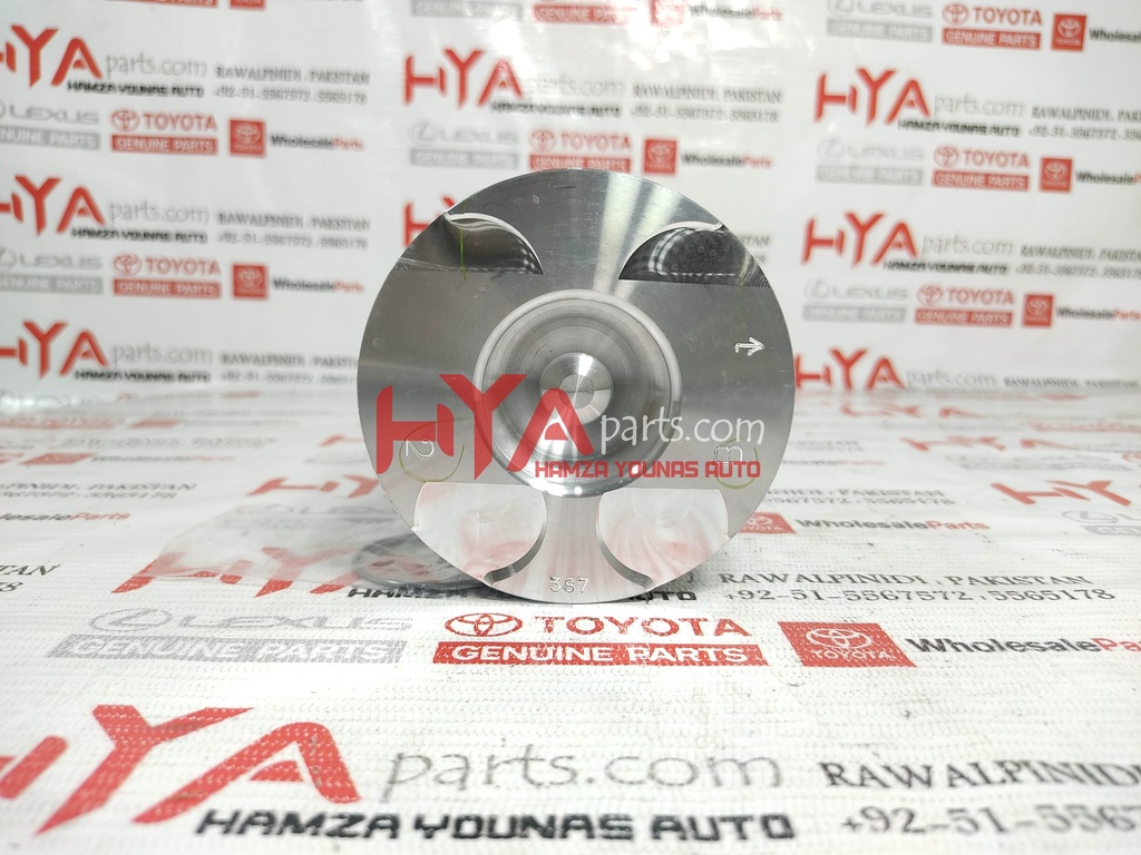 13101-30081-02-2