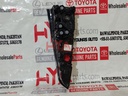 LENS AND BODY, REAR LAMP, LH (BACK LIGHT)