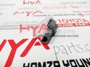 LAMP ASSY, COURTESY