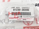 LAMP ASSY, COURTESY