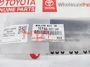 MOULDING ASSY, REAR DOOR BELT, LH