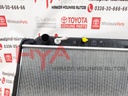 RADIATOR ASSY
