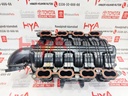 MANIFOLD, INTAKE