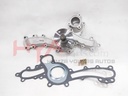 PUMP ASSY, ENGINE WATER (WATER BODY)