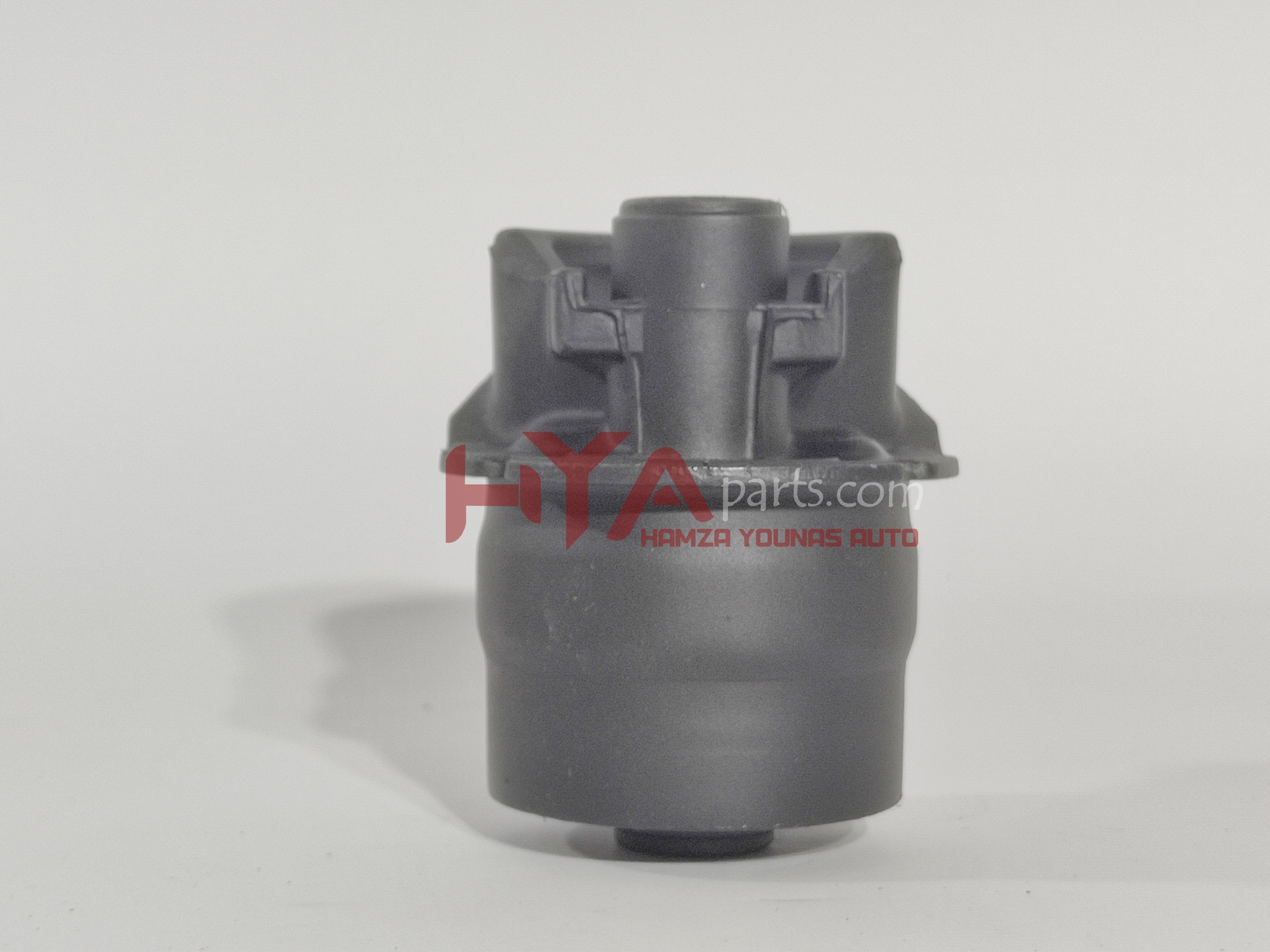 [RBI 48725-02240] BUSH, REAR AXLE CARRIER, RH