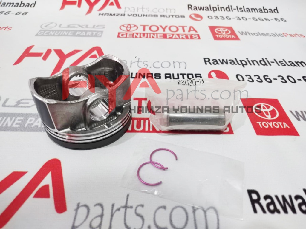 PISTON SUB-ASSY, W/PIN (SIZE : STD)