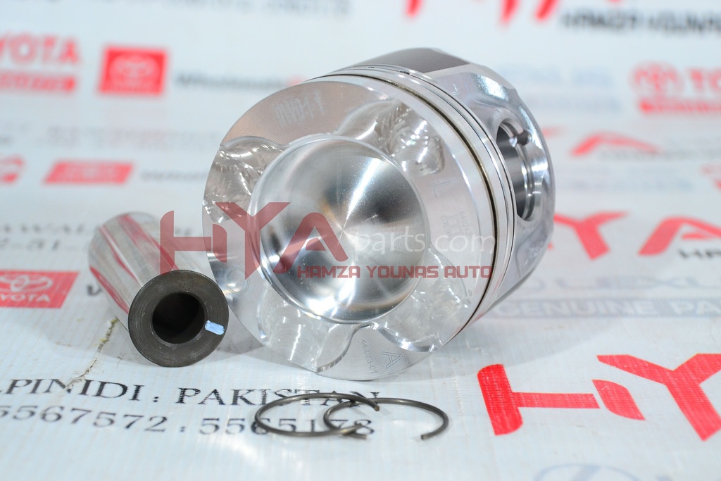 PISTON SUB-ASSY, W/PIN, LH