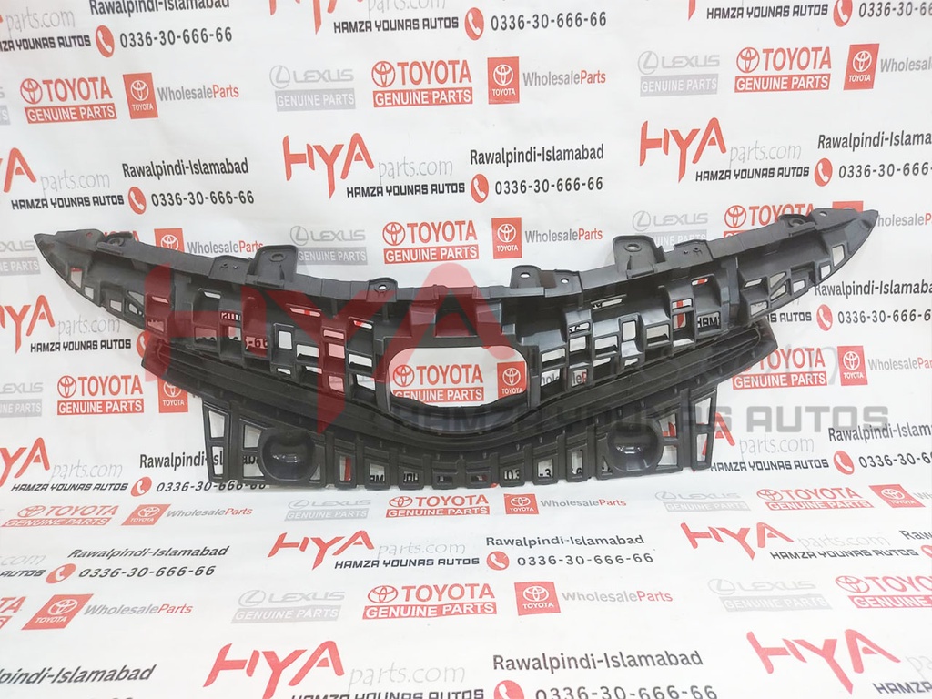 GRILLE, RADIATOR (FRONT SHOW GRILL)