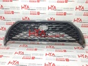 GRILLE, RADIATOR (FRONT SHOW GRILL)