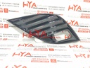 COVER, FOG LAMP, LH