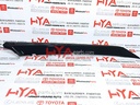 COVER, FOG LAMP, LH