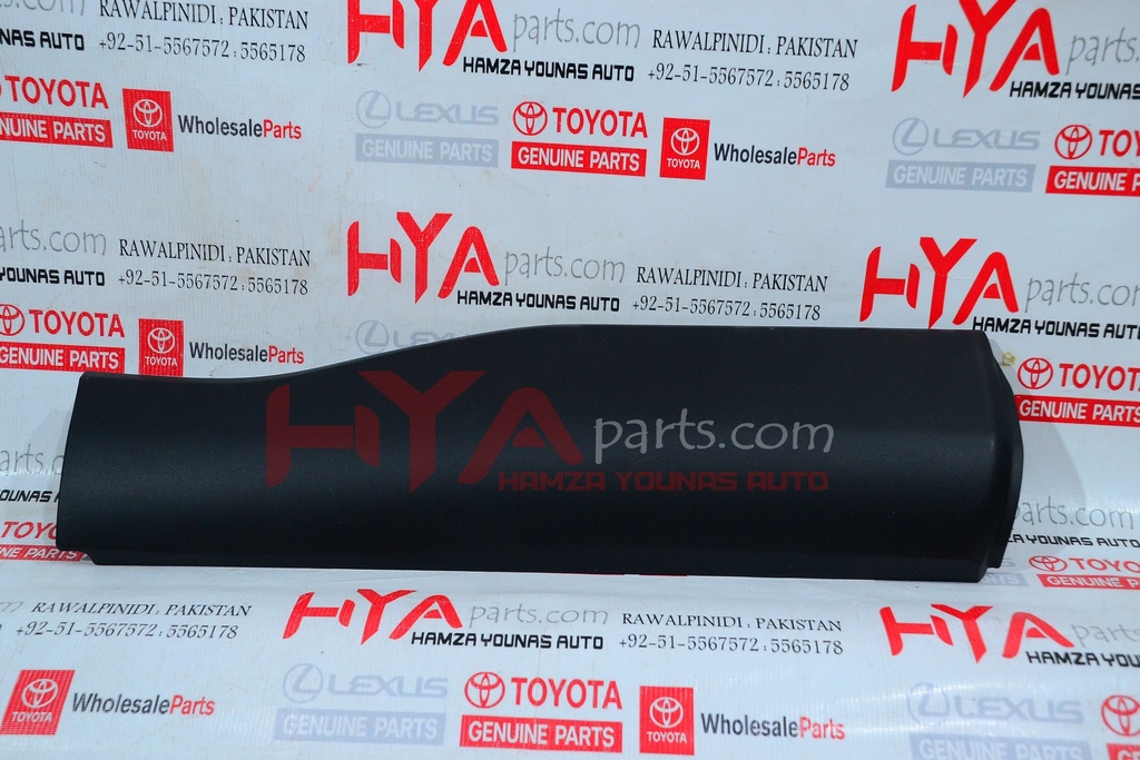 MOLDING REAR DOOR OUTSIDE LOWER RH