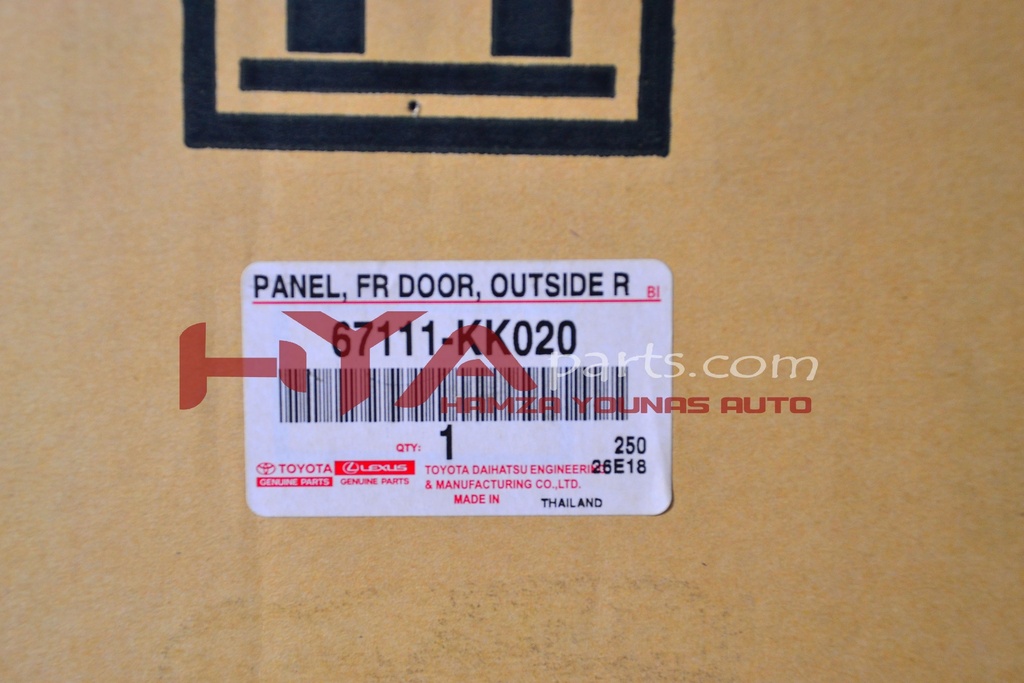 DOOR SKIN, FRONT DOOR, OUTER RH