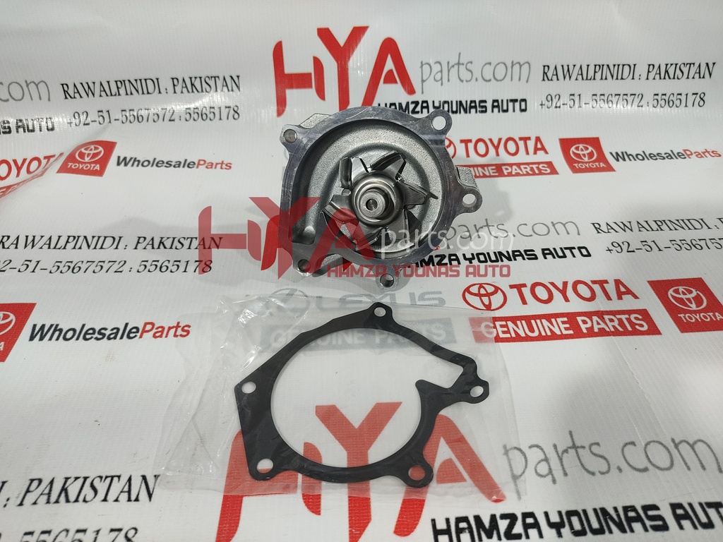 PUMP ASSY, ENGINE WATER (WATER BODY)