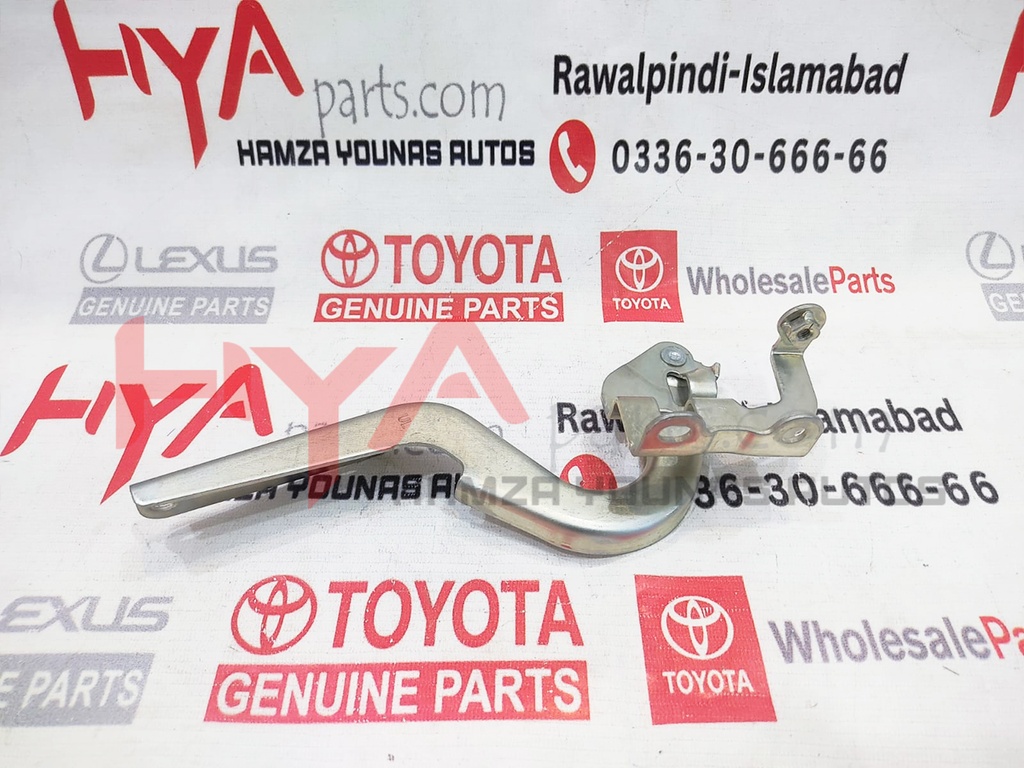 HINGE ASSY, HOOD, LH
