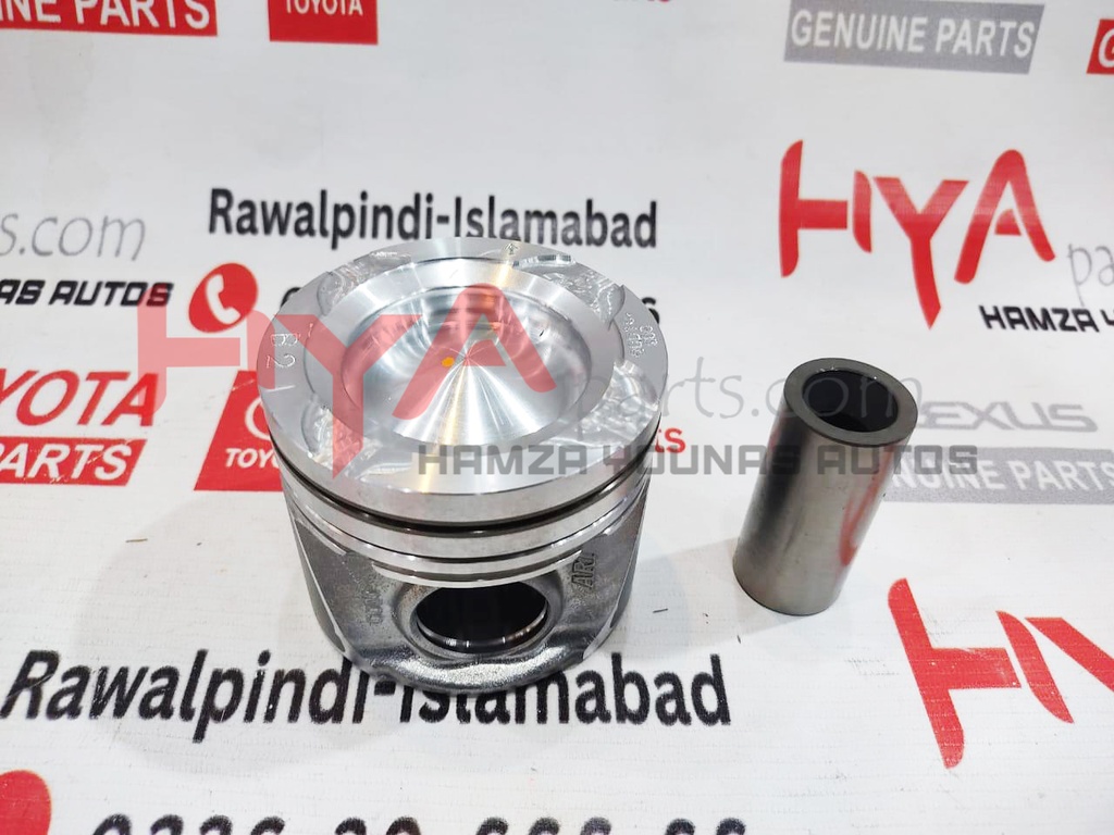 PISTON SUB-ASSY, W/PIN
