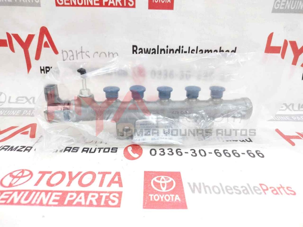 RAIL ASSY, COMMON
