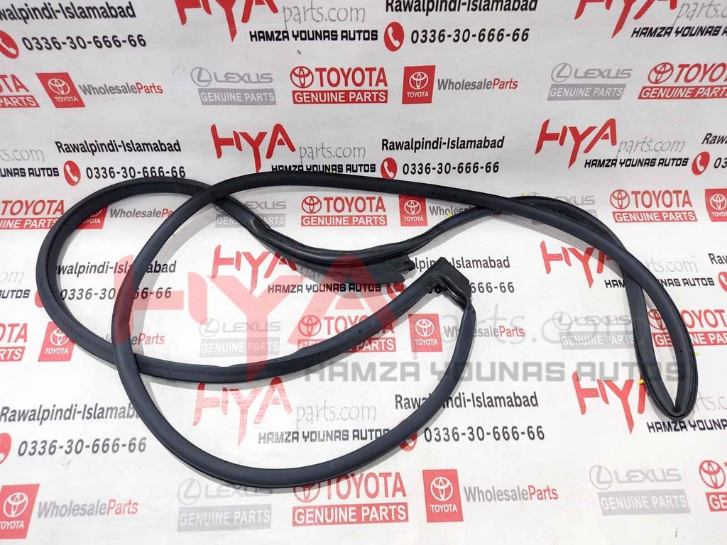 WEATHERSTRIP, FRONT DOOR, RH