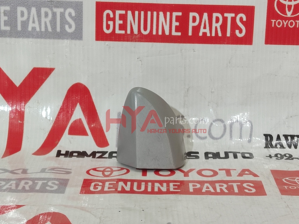 COVER, REAR DOOR OUTSIDE HANDLE, LH