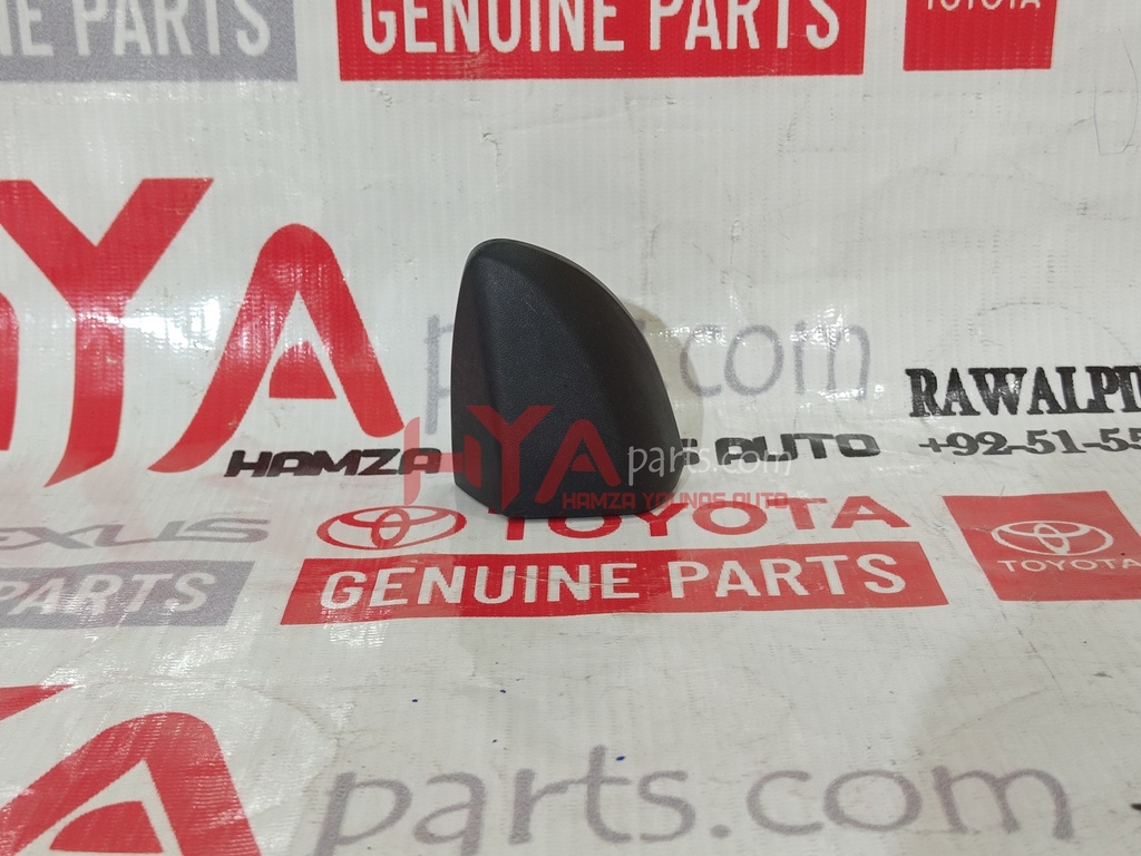 COVER, REAR DOOR OUTSIDE HANDLE, LH