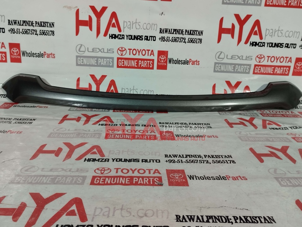 MOULDING ASSY, HOOD, FRONT