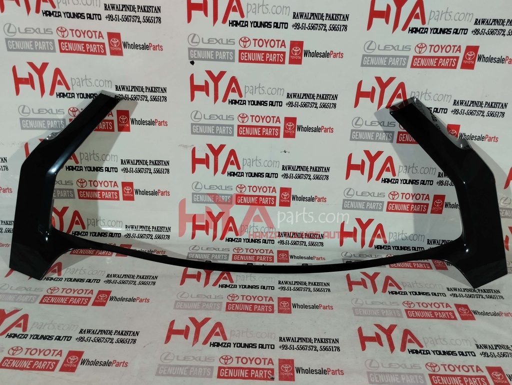 MOULDING, RADIATOR GRILLE