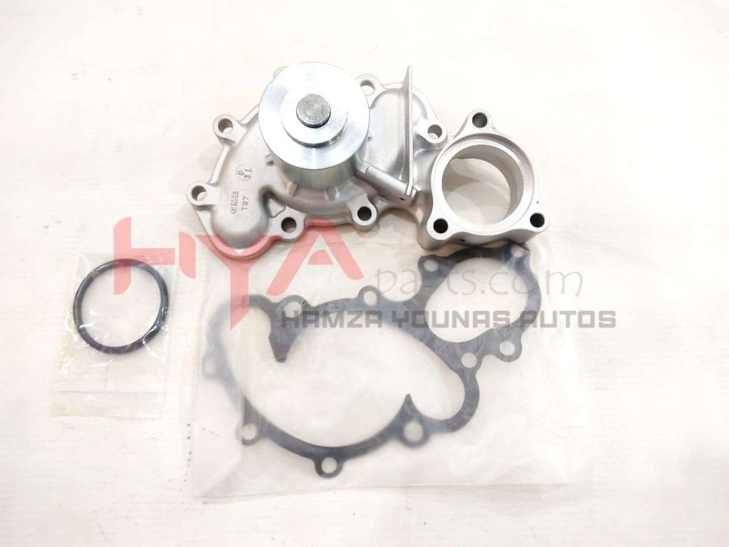 PUMP ASSY, ENGINE WATER (WATER BODY)