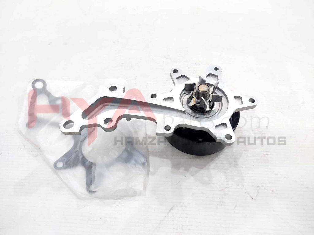 PUMP ASSY, ENGINE WATER (WATER BODY)