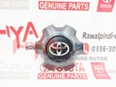 ORNAMENT SUB-ASSY, WHEEL HUB