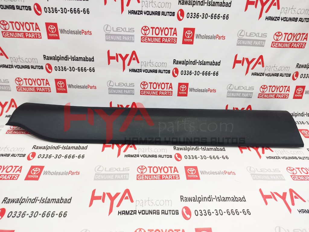 MOULDING SUB-ASSY, FR DOOR, OUTS LWR RH 