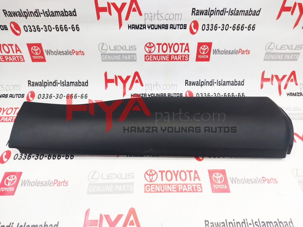 MOULDING SUB-ASSY, RR DOOR, OUTS LWR RH 