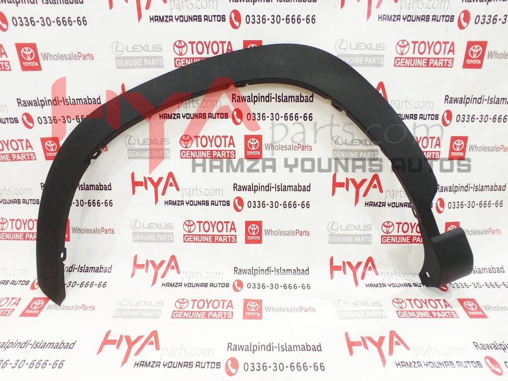 MOULDING SUB-ASSY, FR FENDER, LH