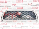 GRILLE ASSY, RADIATOR 