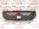 GRILLE ASSY, RADIATOR 