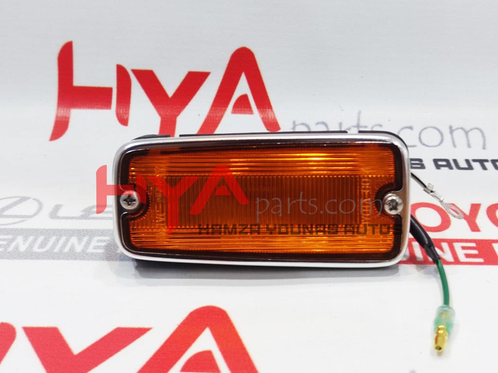LAMP ASSY, SIDE TURN SIGNAL, RH