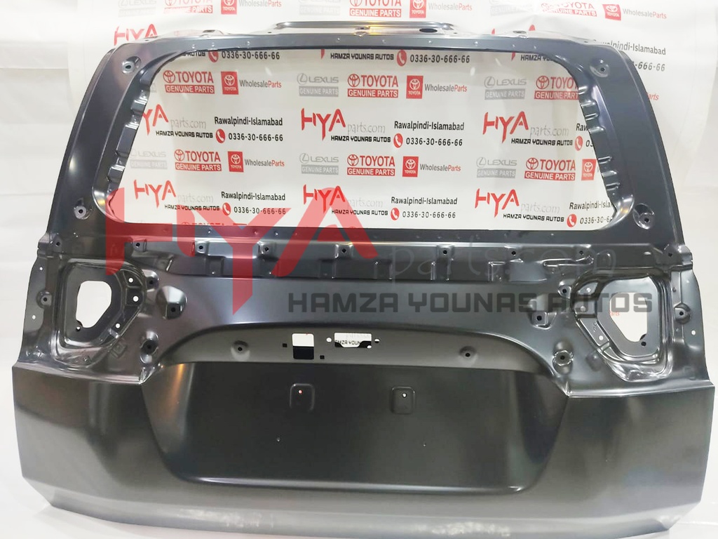 PANEL SUB-ASSY, BACK DOOR