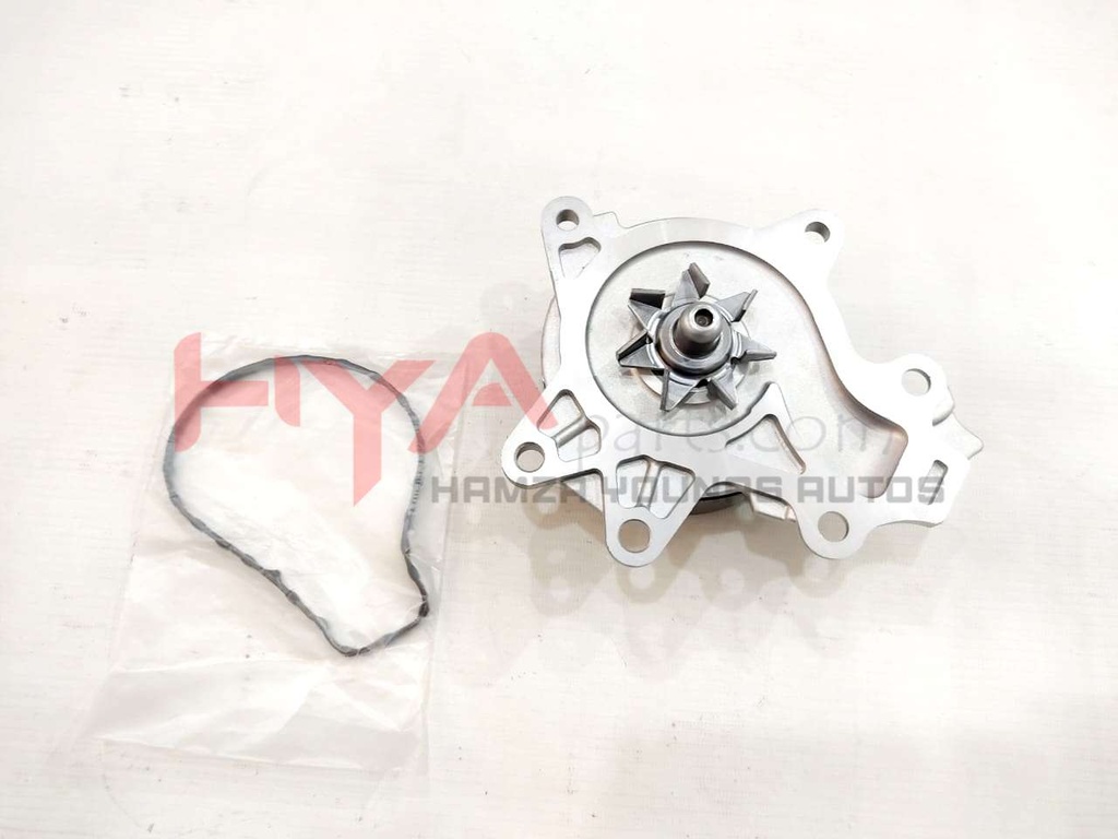 PUMP ASSY, ENGINE WATER (WATER BODY)