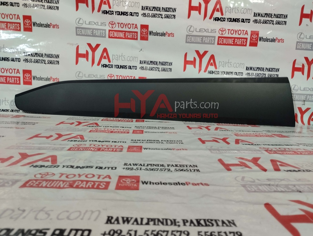 MOLDING FRONT DOOR OUTSIDE LOWER LH